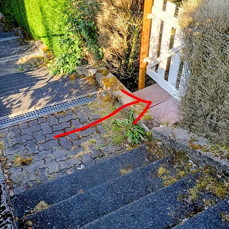 Travel Sleep&home I Schlafen Im Jurtenzelt Mit Schönem Ausblick, Garten Und Burgsinn